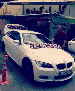گل هروی | گل ماشین عروس لیسی آنتوس مینیاتوری
